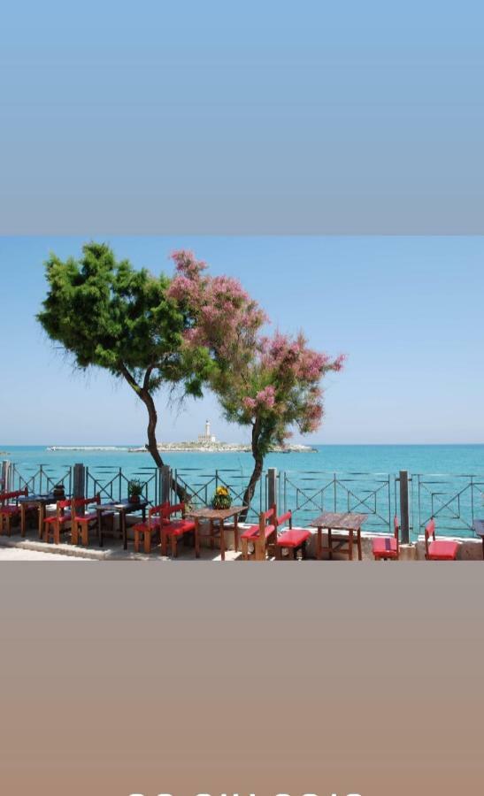 Apartament Casa Azzurro Di Mare Vieste Zewnętrze zdjęcie